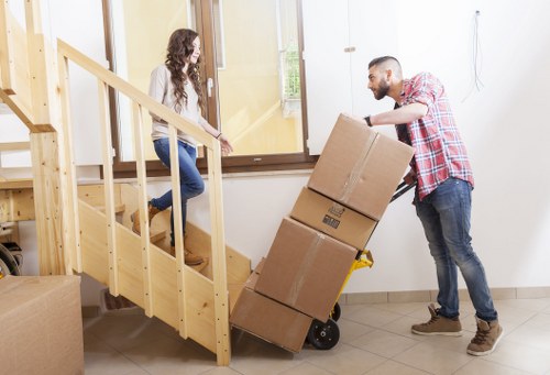 Professional removal service focused on safety and insurance